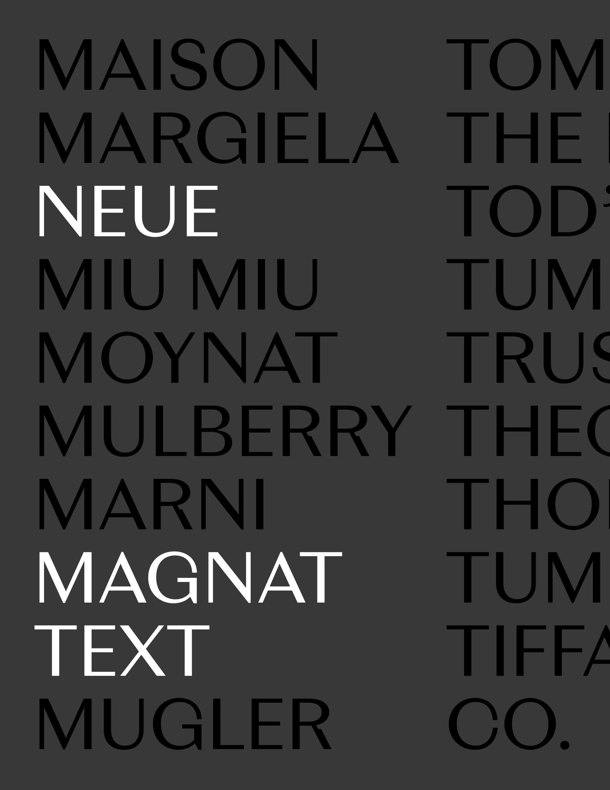 Neue Magnat Text list of styles