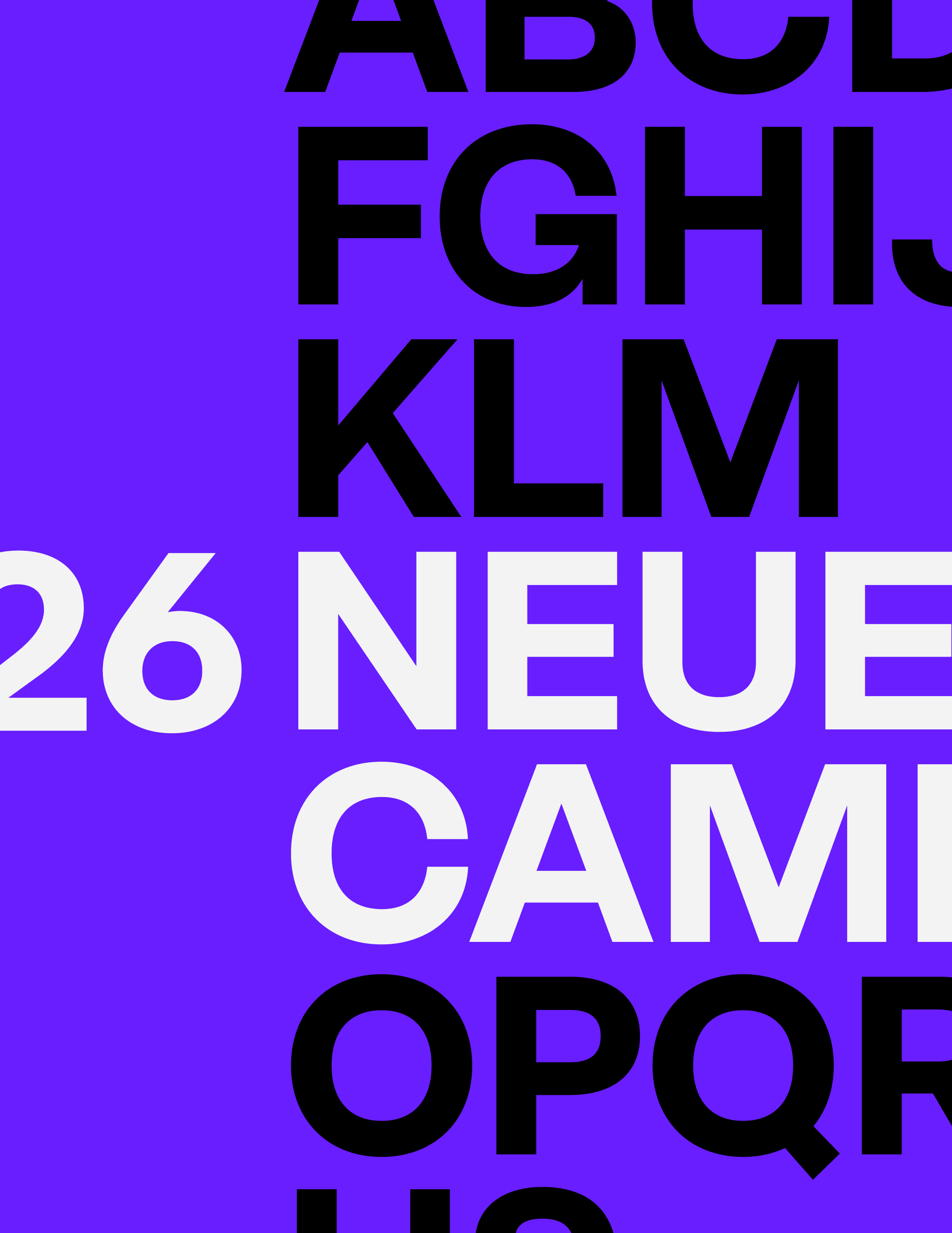 Neue Campton list of styles